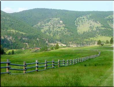 fence%20line.jpg
