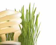 lightbulb-grass.jpg