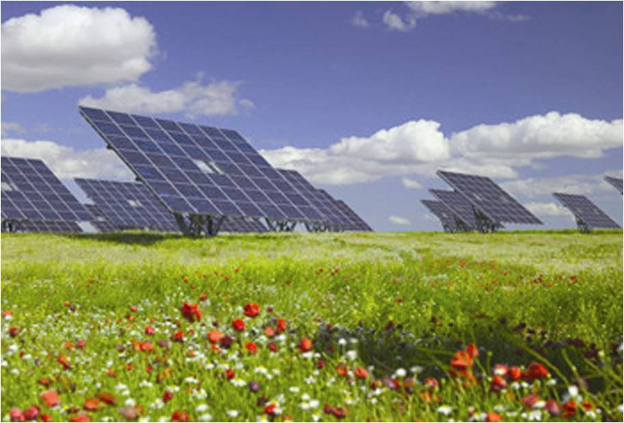 solar_farm2.jpg