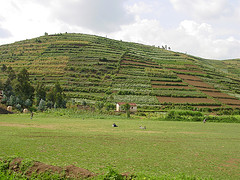 Agriculture Pic.jpg